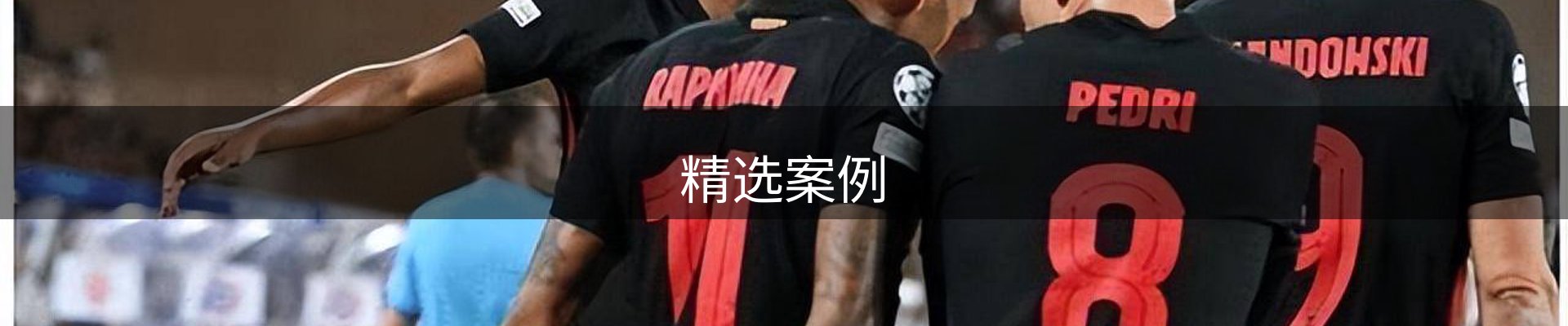 精选案例